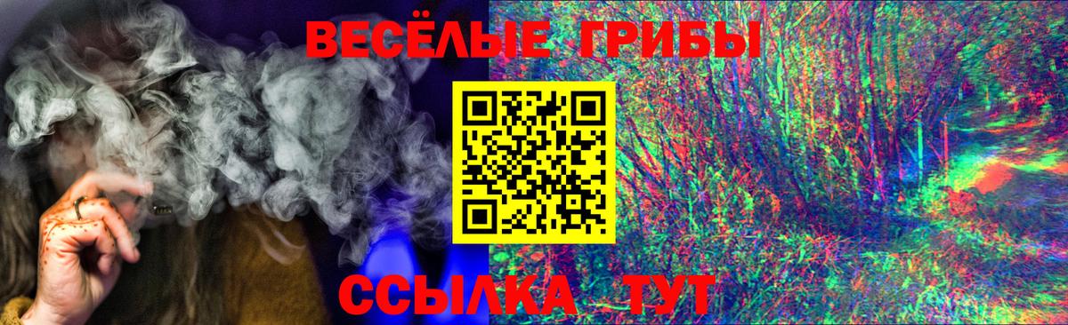 Заринск  Галлюциногенные грибы мицелий  Вход с VPN 