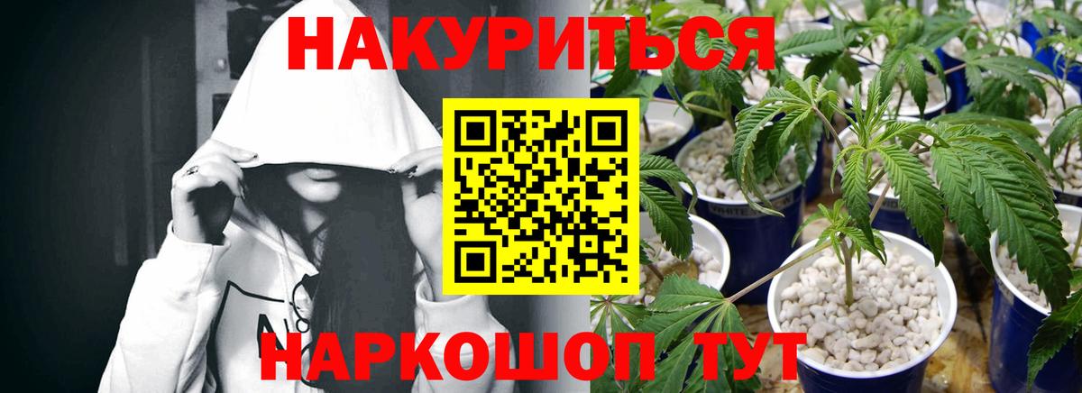 Канабис OG Kush Заринск